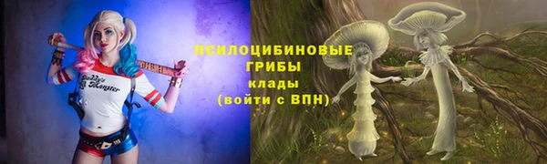 mdpv Ладушкин