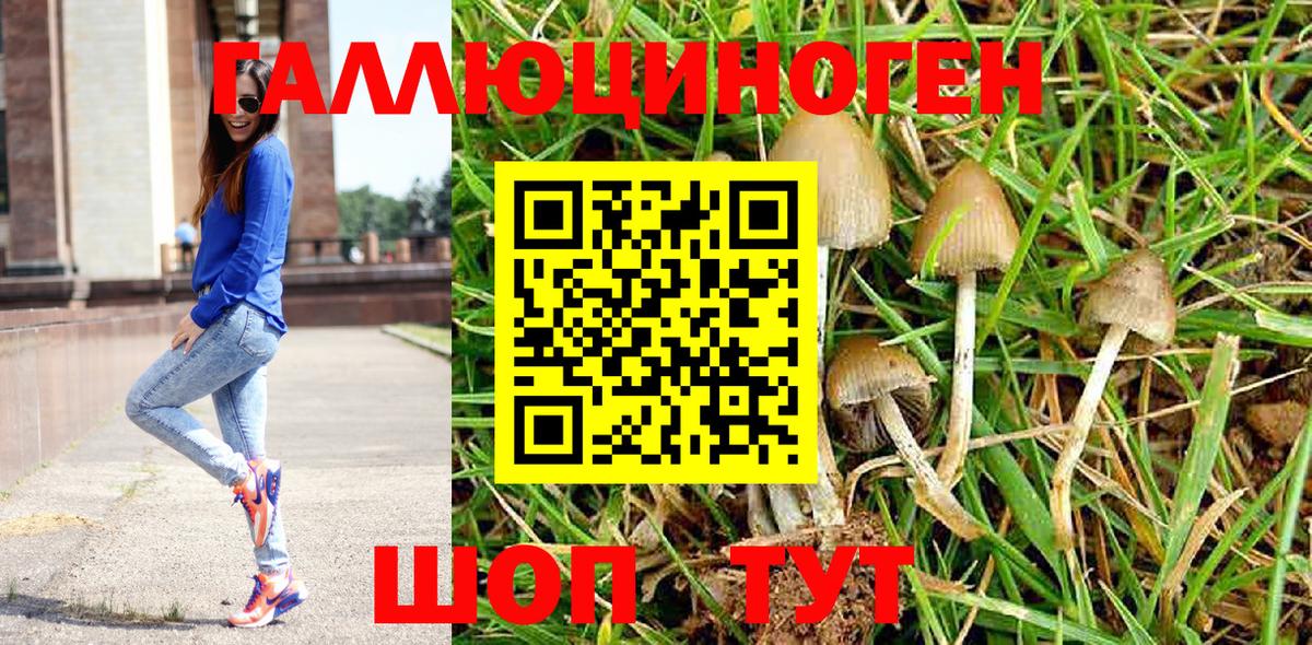 Нефтекамск  Псилоцибиновые грибы ЛСД  Вход с VPN 